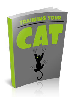 Cats Affiliate Program 3