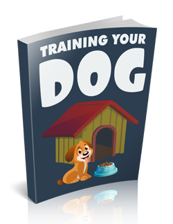 Dogs Affiliate Program 3